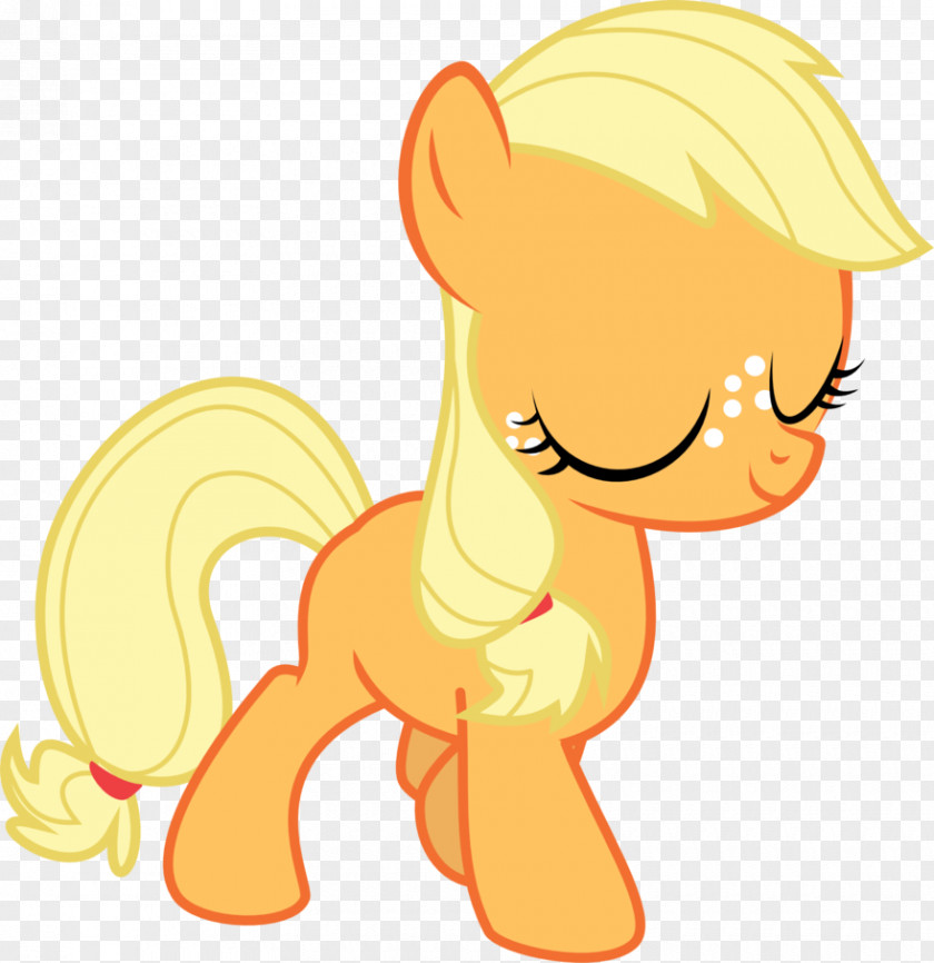 My Little Pony Applejack Rarity Rainbow Dash Filly PNG