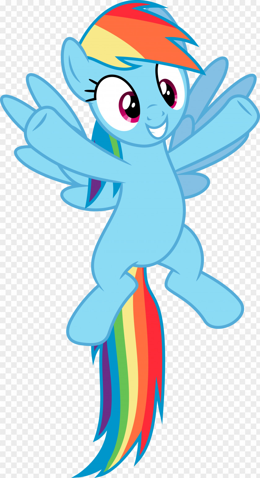 Rainbow Pony Dash Pinkie Pie Twilight Sparkle Rarity PNG