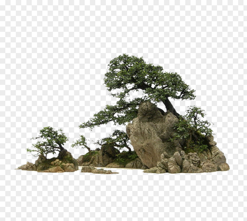 Rock Bonsai 庭石 Stone PNG