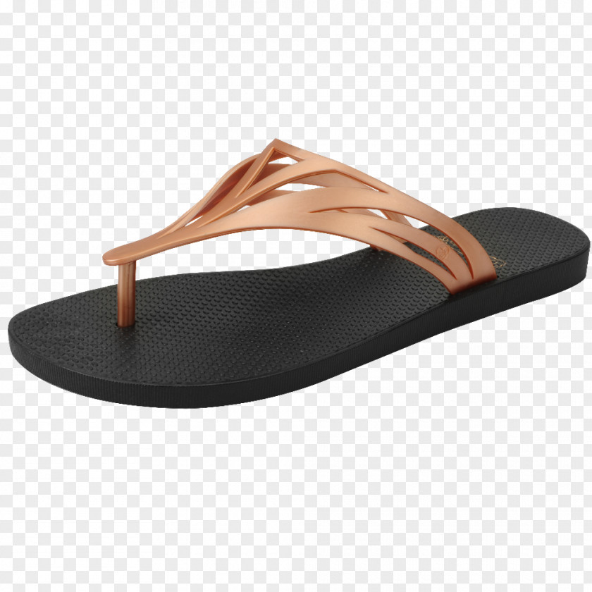 Sandal Flip-flops Foot BATUCADA Wind Wave PNG