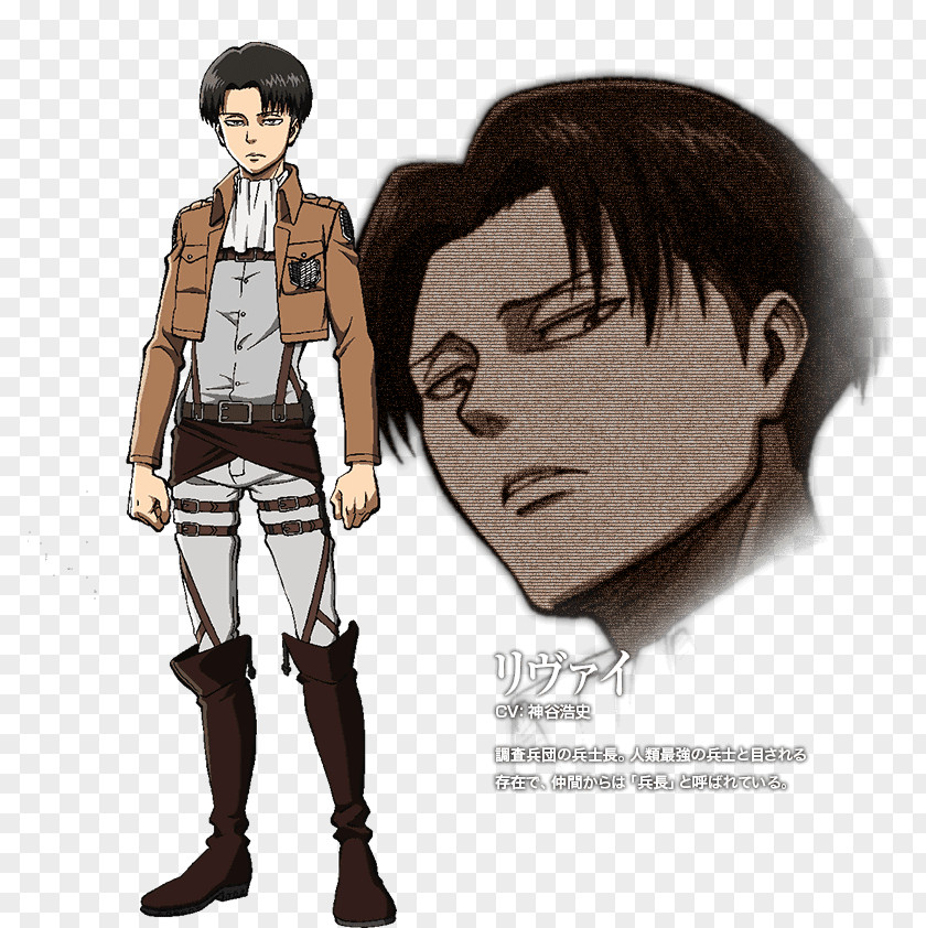 Ataque A Los Titanes Eren Yeager Levi Mikasa Ackerman Reiner Braun Attack On Titan PNG