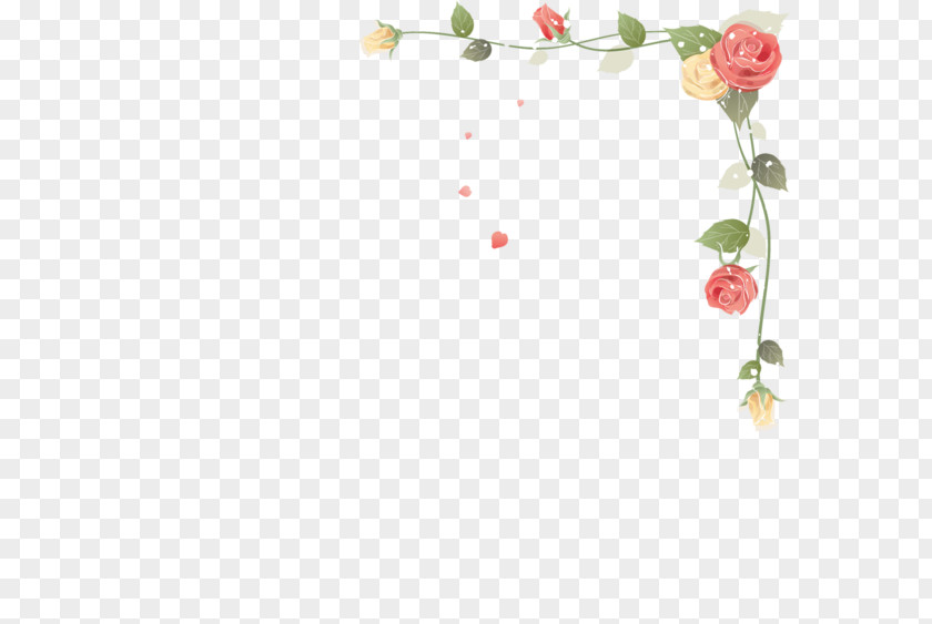 Flower Picture Frames Paper PNG