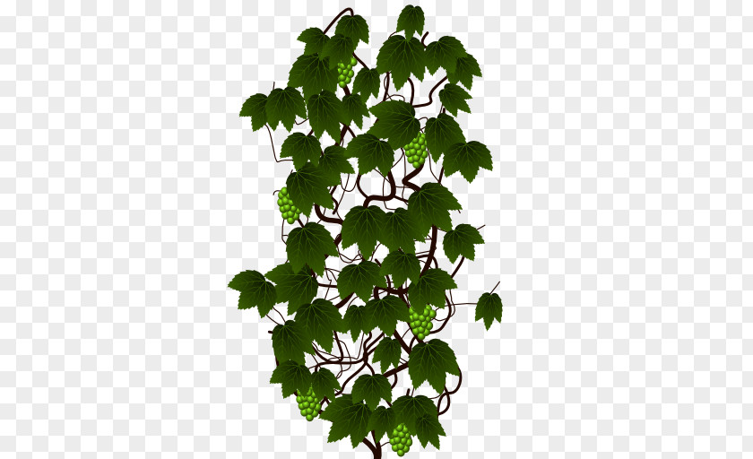Ivy Sprite Scrolling Plant PNG