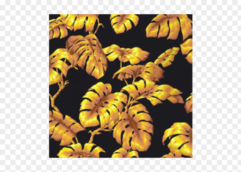 Papier Peint Swiss Cheese Plant Honey Bee Couch Yellow Wallpaper PNG