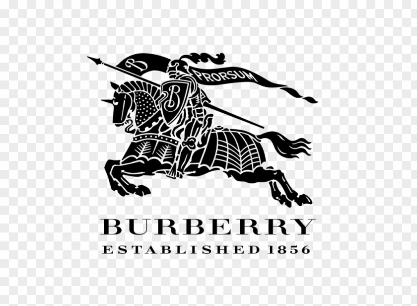 Burberry Fashion Clothing Handbag Scarf PNG