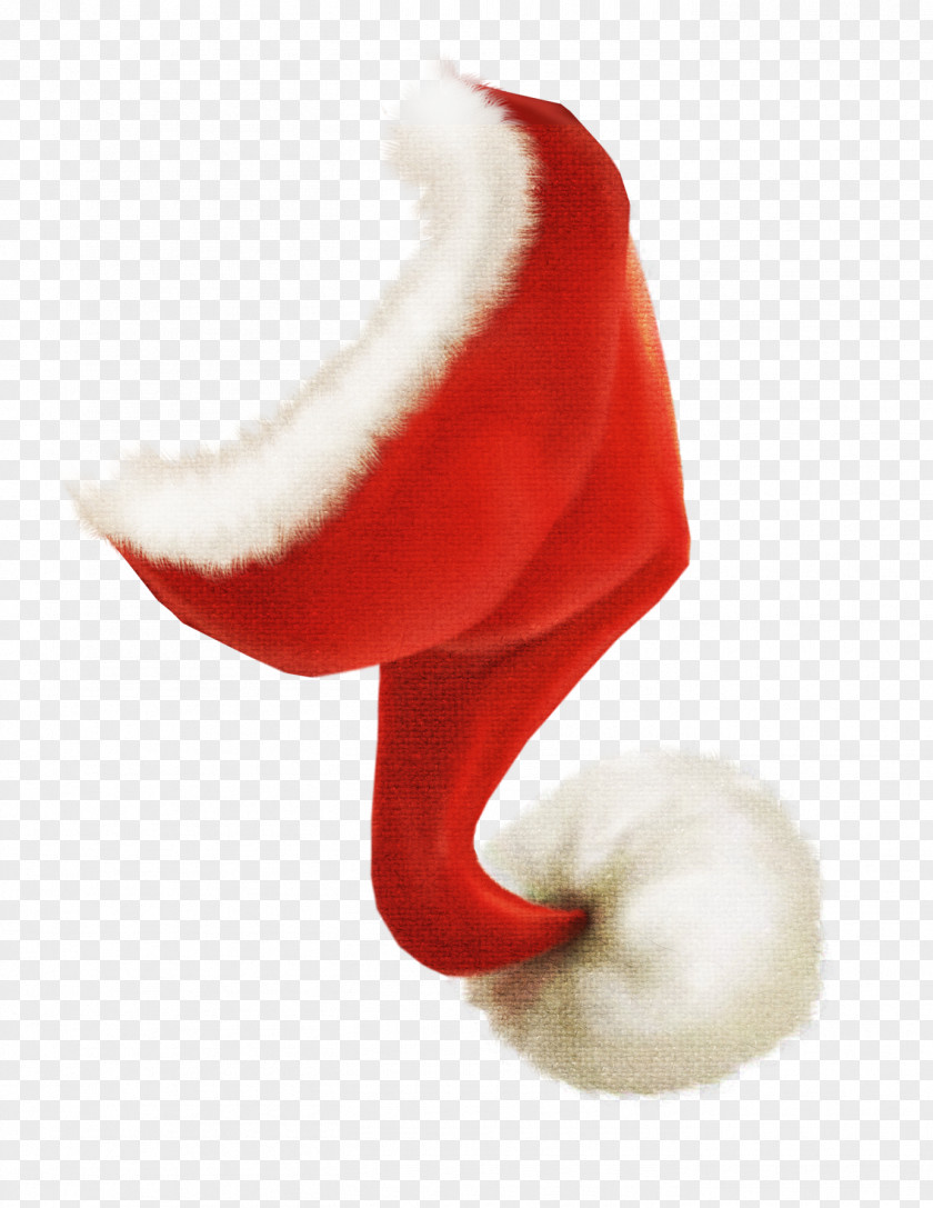 Christmas Red Hat Santa Claus PNG