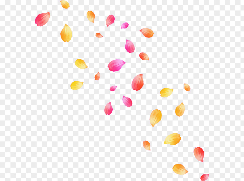 Flower Petal Clip Art PNG