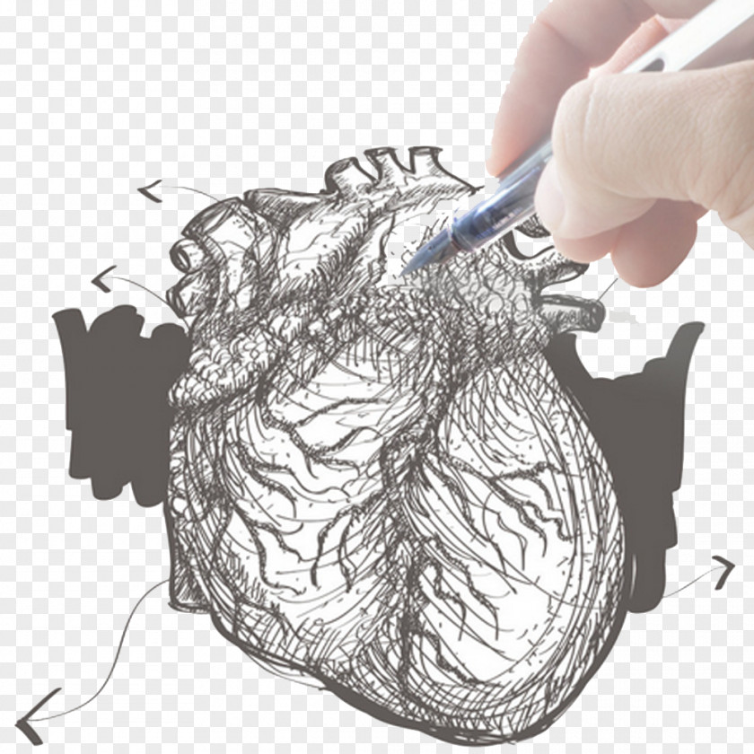 Hand-painted Heart Pen Element Drawing Hand Illustration PNG