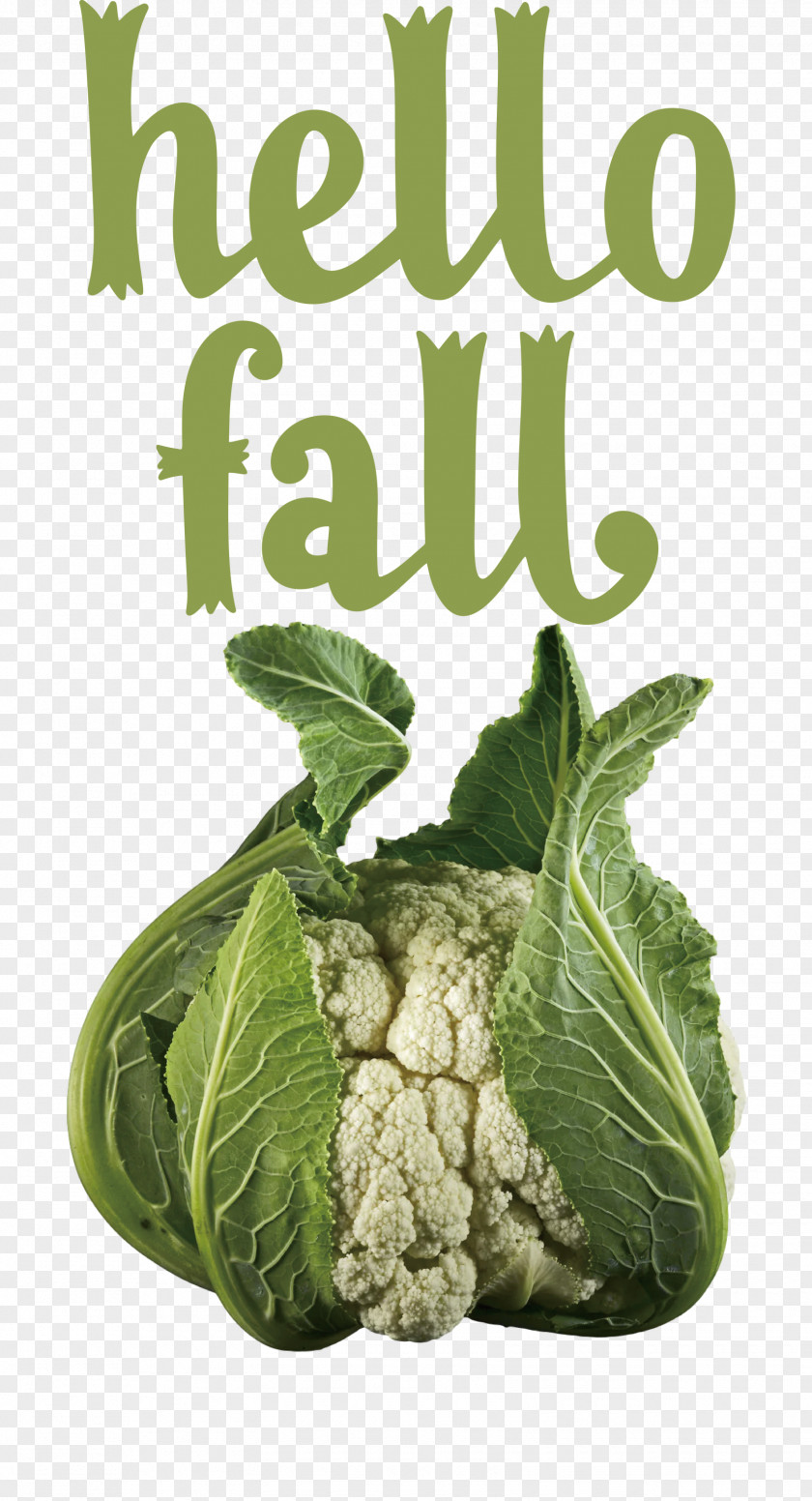 Hello Fall Fall Autumn PNG