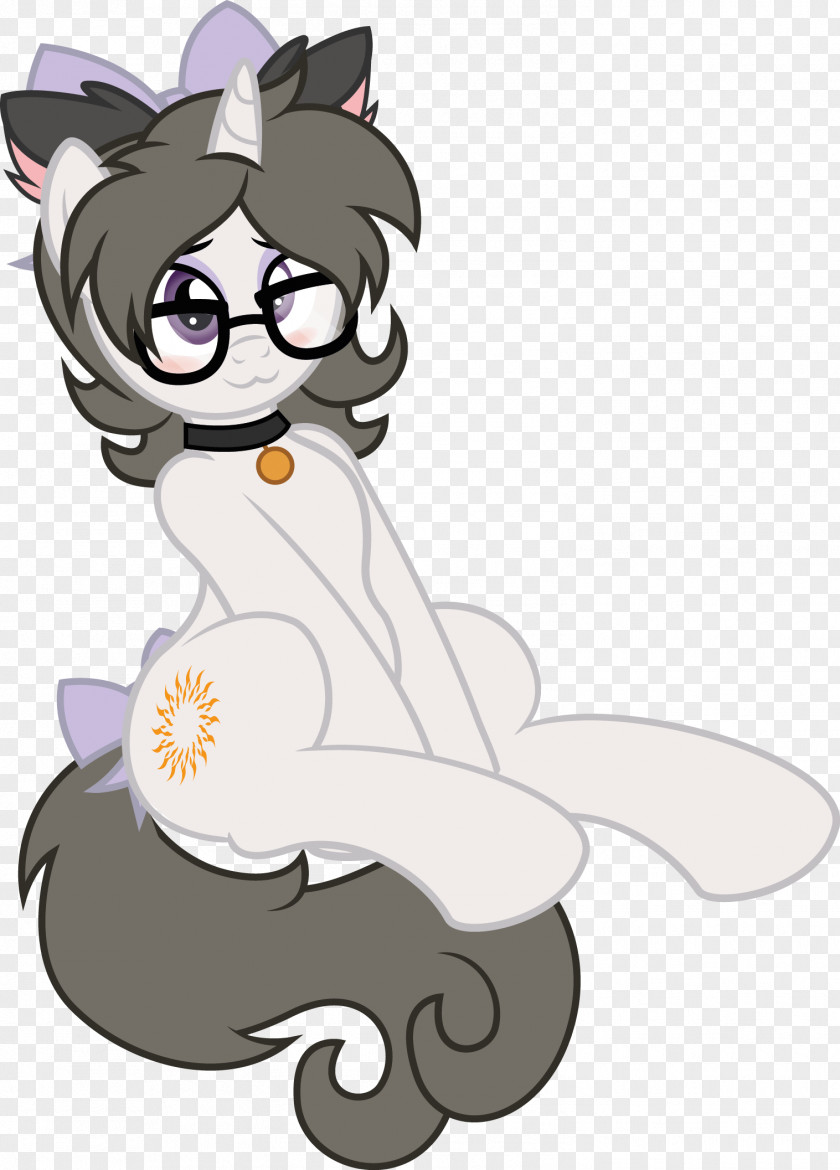 Kitten Whiskers Cat Horse Pony PNG