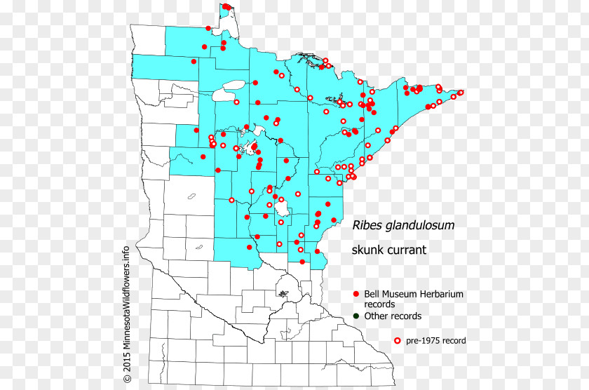 Line Land Lot Point Map Organism PNG