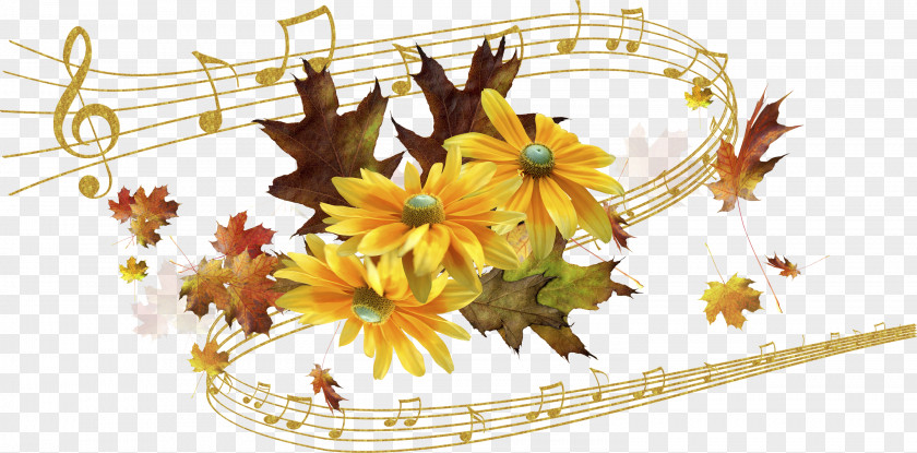 Autumn Flower Musical Note Photography PNG
