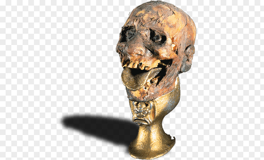 Bone Skull Jaw PNG