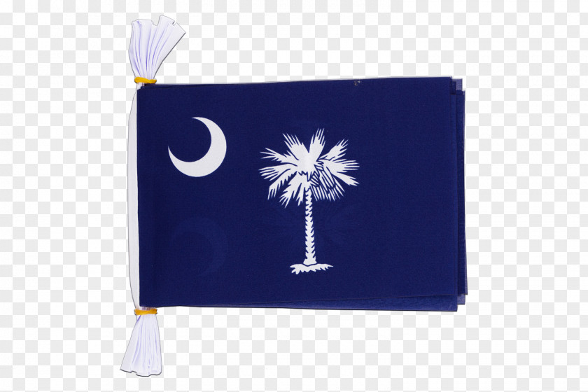 Flag Of South Carolina State Columbia Annin & Co. PNG