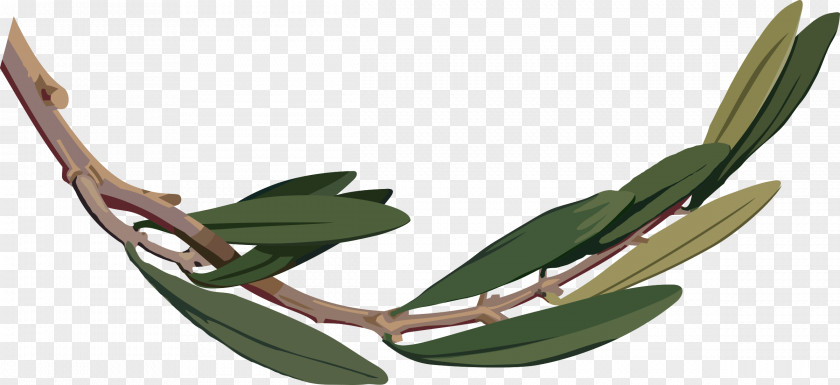 Olive Branch Clip Art PNG