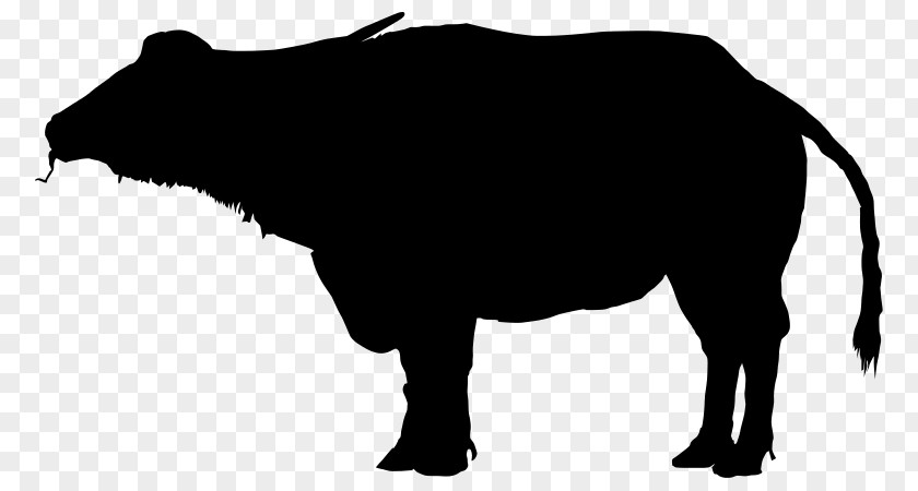 Silhouette Water Buffalo Bison Clip Art PNG
