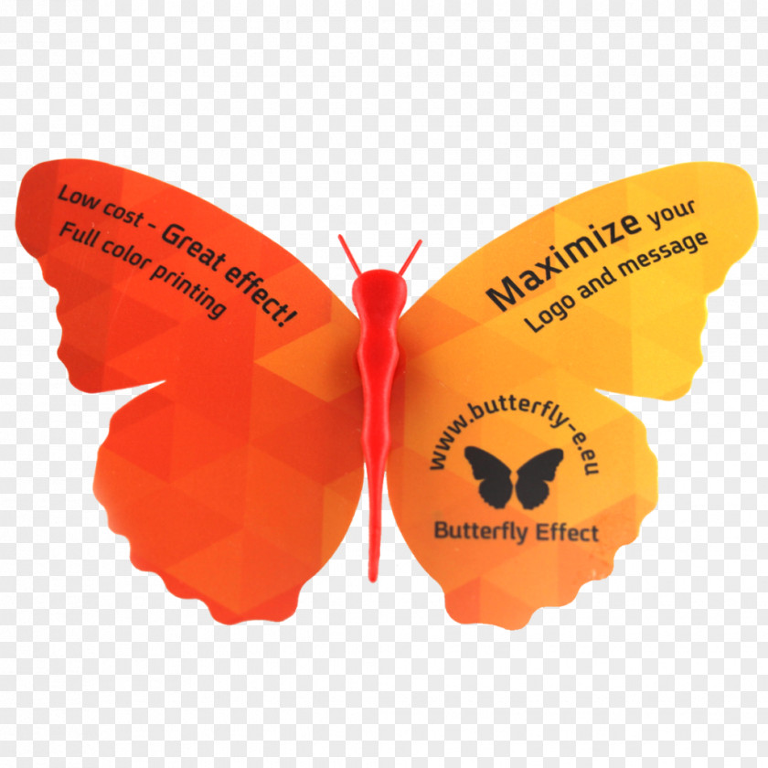 Butterfly Effect PDF Crop Top Font PNG