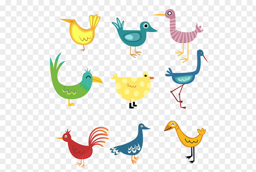 Funny Bird Drawing Euclidean Vector PNG