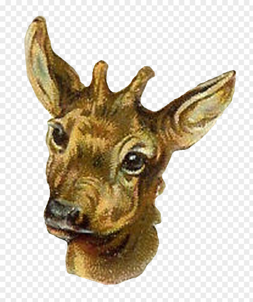 Hyena Antelope Reindeer Animal Giraffe PNG