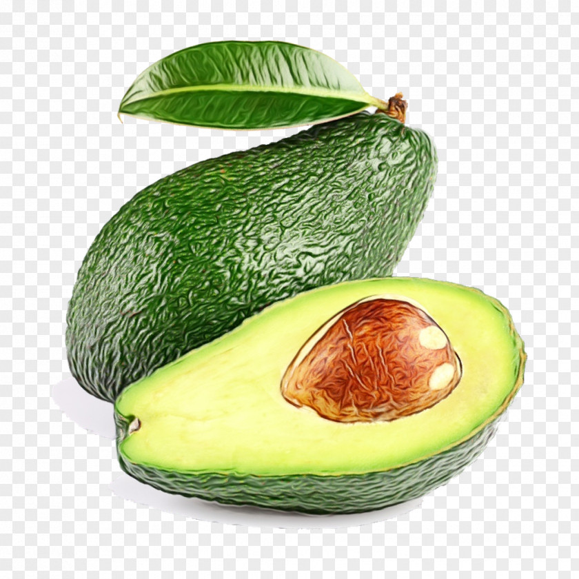 Ingredient Accessory Fruit Avocado PNG