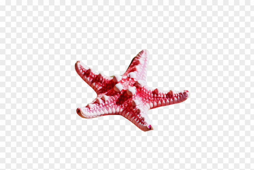 Jewellery Starfish Pink Red PNG