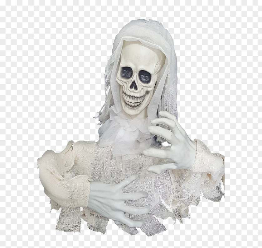 Skull Sculpture Skeleton Figurine PNG