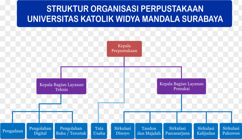 Struktur Organisasi Widya Mandala Catholic University Organization Public Library Surabaya PNG