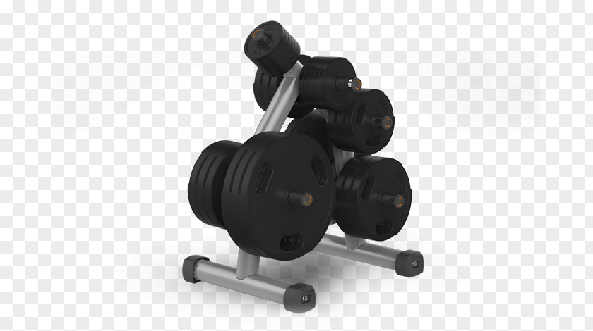 Weight Machine Barbell Exercise Training Dumbbell Physical Fitness PNG