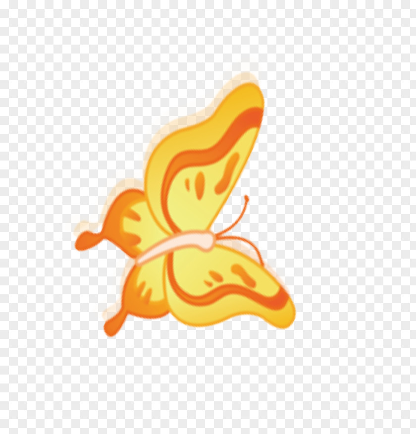 Butterfly Fruit Orange Clip Art PNG