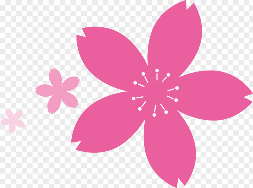 Cherry Flower Floral PNG