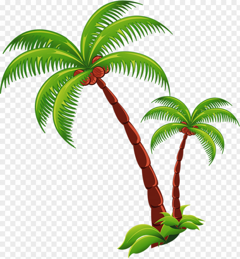 Coconut Tree Beach Computer File PNG