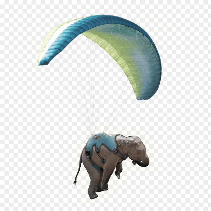 Elephant Motif Air Sports Parachute Paragliding Parachuting Windsport PNG