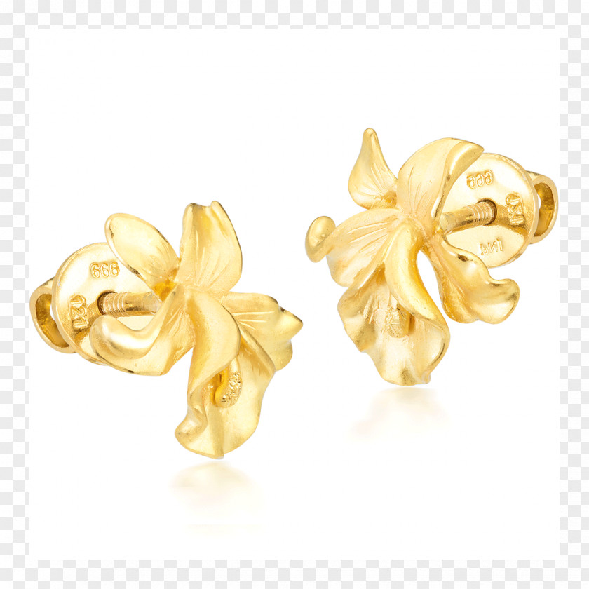 Gold Earring Body Jewellery Cửa Hàng Trang Sức Pnj PNG