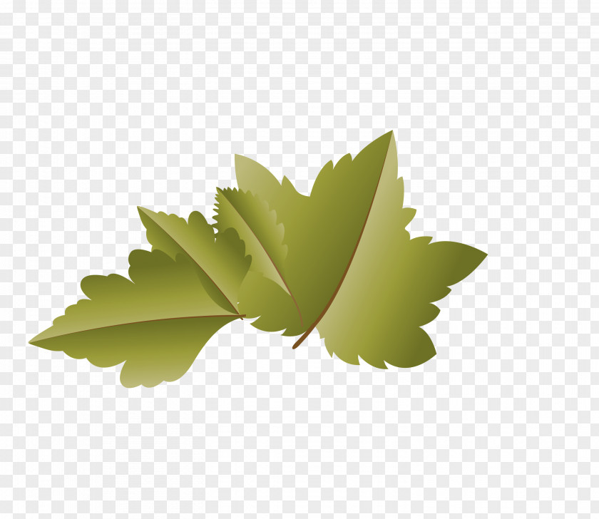 Leaf Computer M-tree Meter M PNG