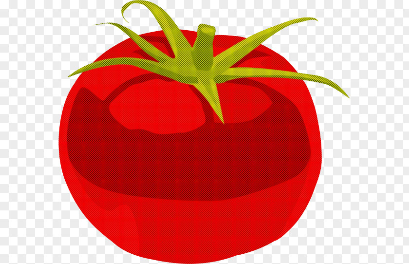 Nightshade Family Food Tomato PNG