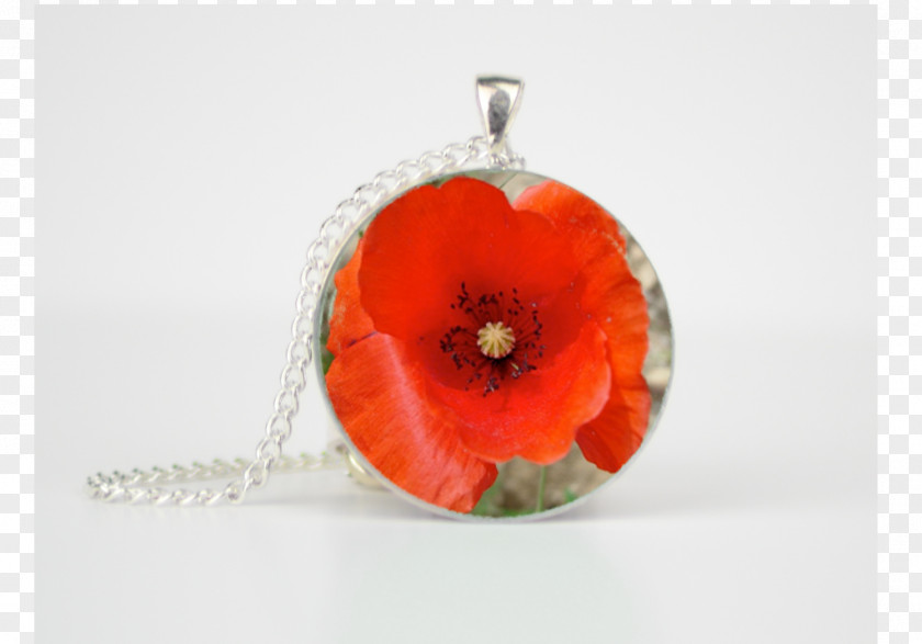 Poppy Common Flower Charms & Pendants Jewellery PNG