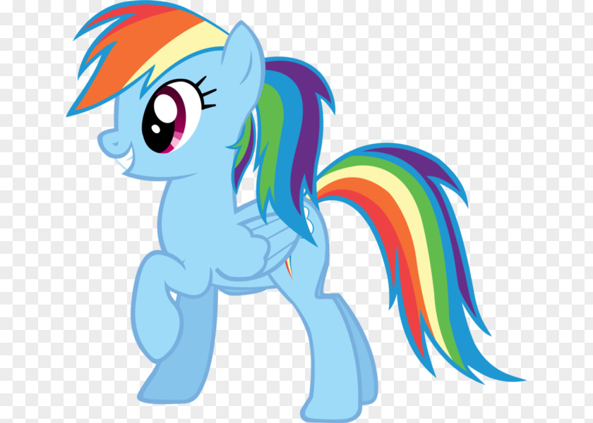 Rainbow Dash Pinkie Pie Twilight Sparkle Pony Derpy Hooves PNG