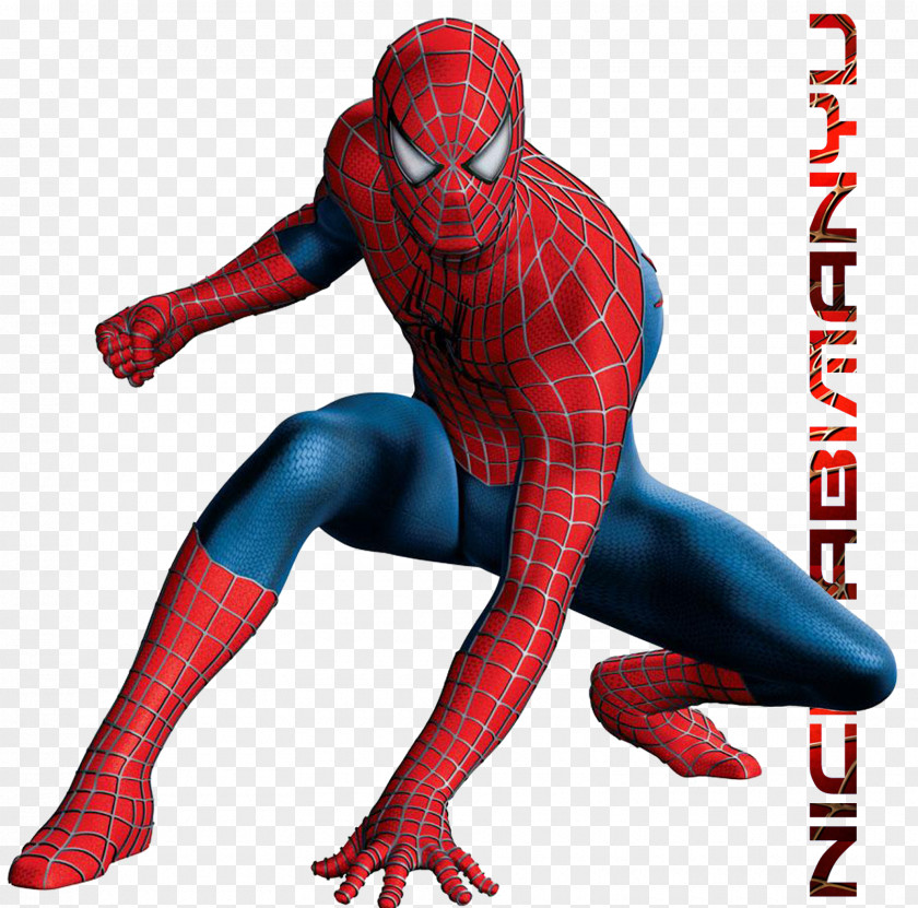 Spider-man Spider-Man Superhero Marvel Cinematic Universe Comics Film PNG