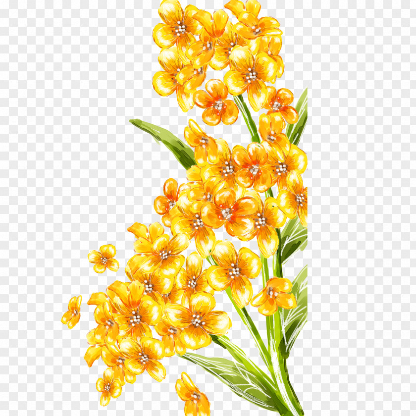 Bouquet Floral Design Flower PNG