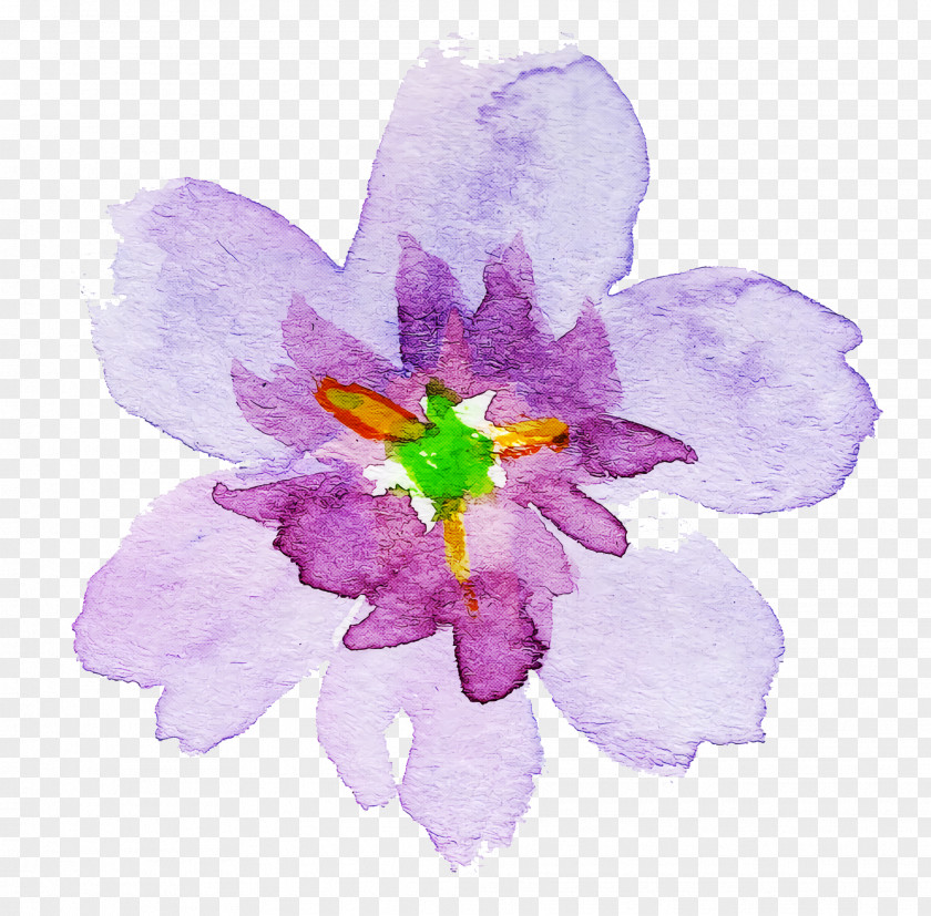 Lavender PNG