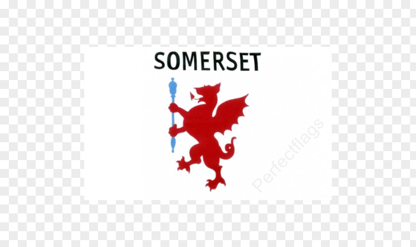 Taunton Somerset County Council South Mendip District PNG