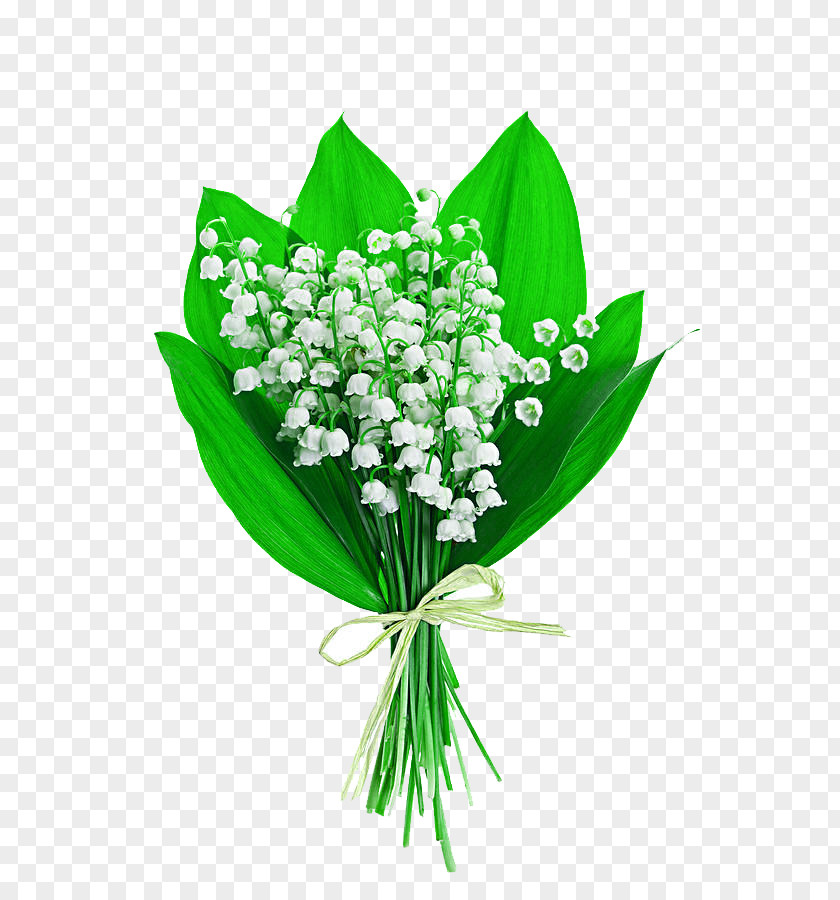 Bouquet Lily Of The Valley Flower Stock Photography Lilium PNG