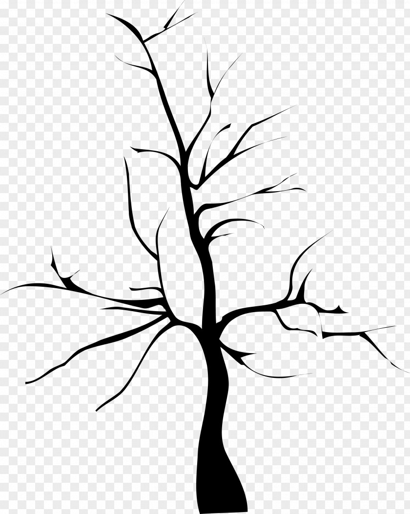 Cartoon Tree PNG