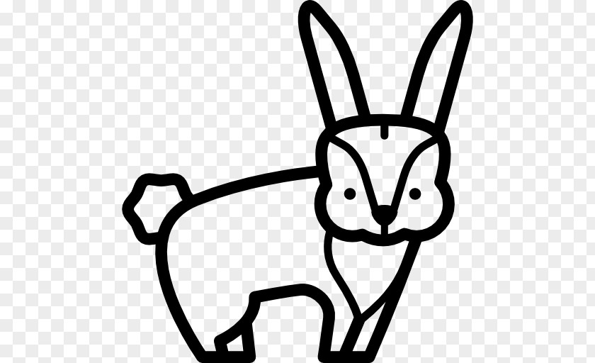 Cat Whiskers Domestic Rabbit Hare PNG