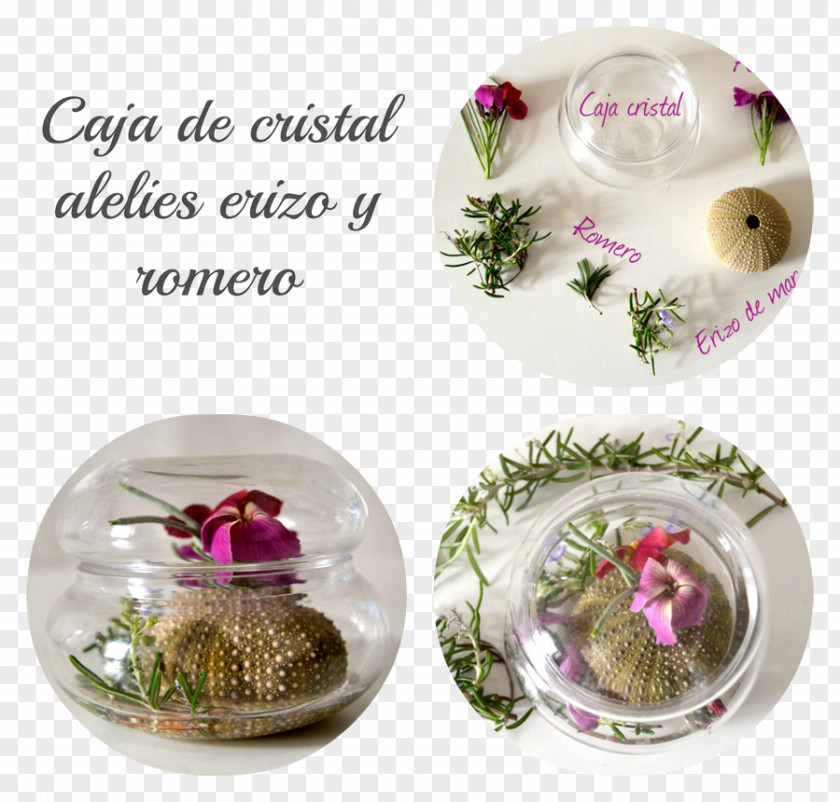 Flower Vase Floral Design Glass Cup PNG