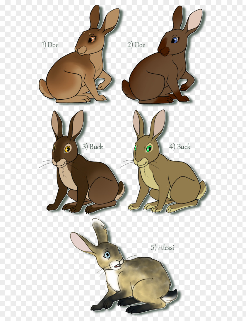 Watership Down How To Draw Bunnies Domestic Rabbit Hare Child PNG