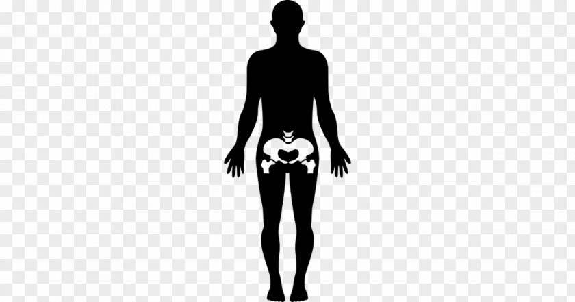 Woman Female Body Shape Human Homo Sapiens PNG