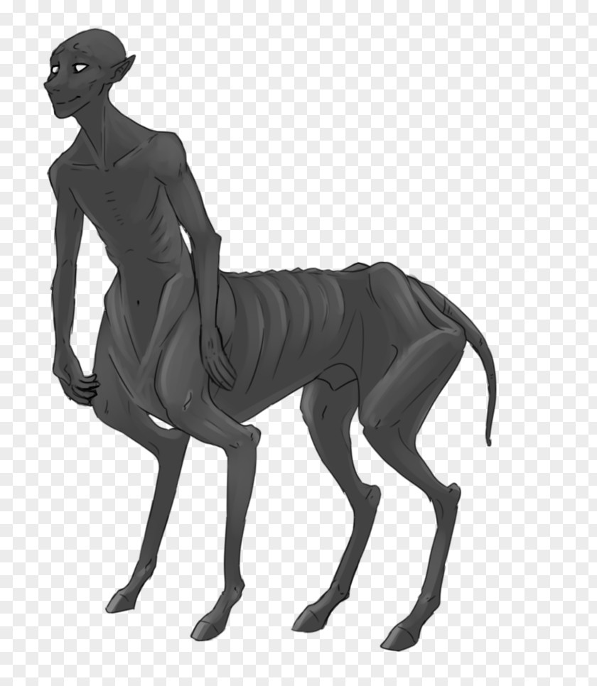 Centaur Dog Mammal Canidae Carnivora Pet PNG