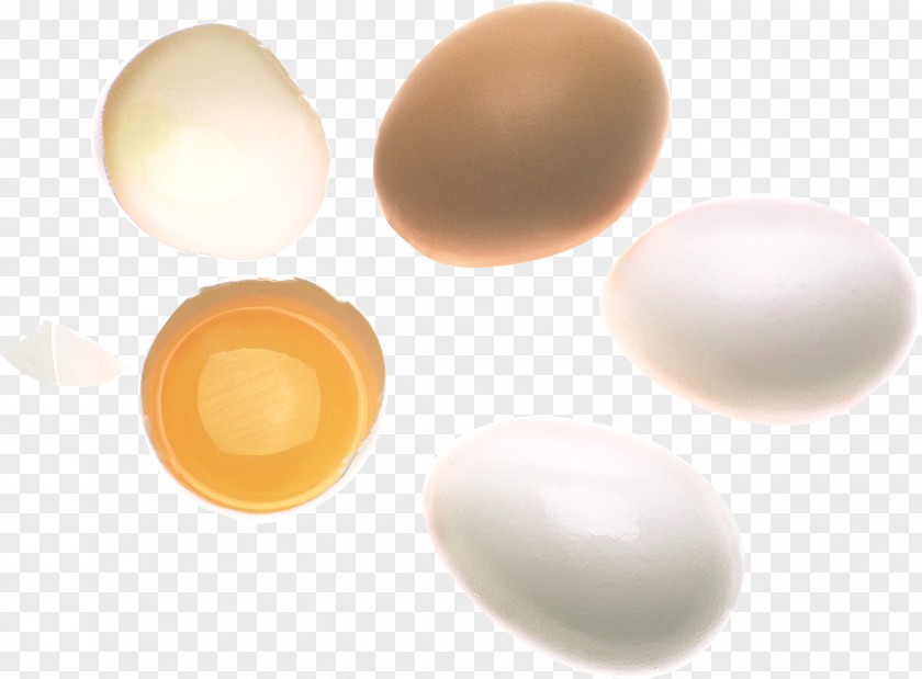 Egg White DepositFiles PNG