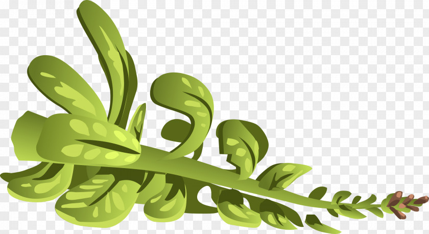 Herbs Clip Art PNG